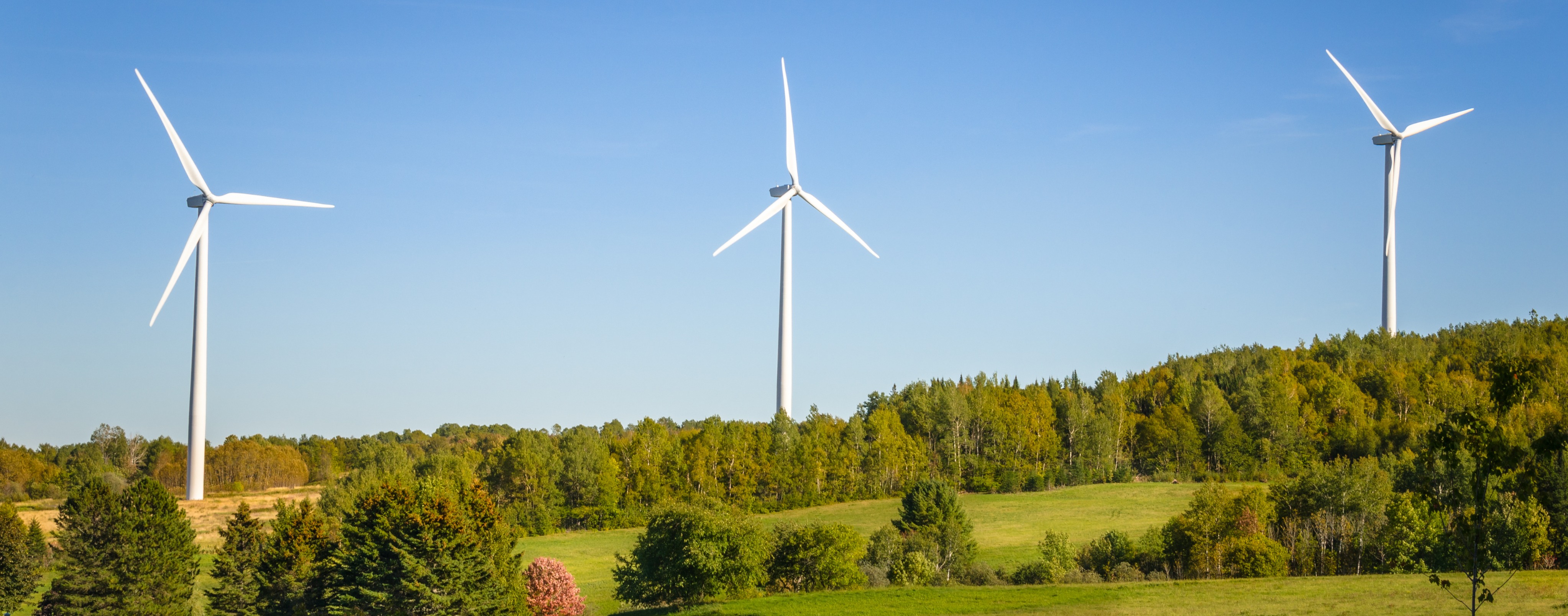 Bild zu Studie zur Akzeptanz von Windenergieanlagen im Sauerland